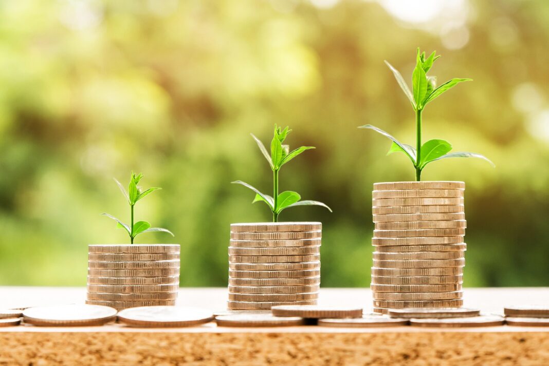 Wachsende Pflanzen auf drei unterschiedlich hohen Münzstapeln, Symbol für finanzielles Wachstum und nachhaltige Investitionen.