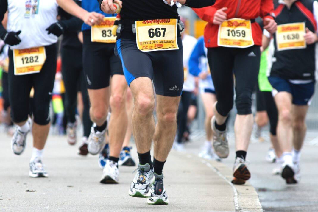 LBV-083 Läuferinnen und Läufer in Sportkleidung nehmen an einem Marathon teil und rennen auf einer Straße, ihre Startnummern sind sichtbar.