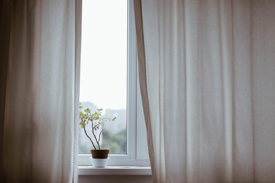 Eine kleine Zimmerpflanze in einem Tontopf steht auf einer Fensterbank zwischen zwei beige Vorhängen, die leicht geöffnet sind und den Blick nach draußen freigeben.