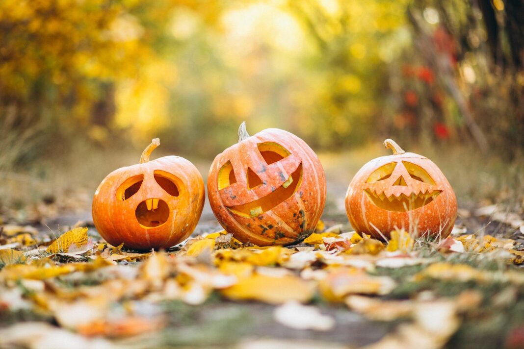 Drei geschnitzte Halloween-Kürbisse mit unterschiedlichen Gesichtsausdrücken stehen auf einem herbstlich mit Laub bedeckten Weg im Freien.